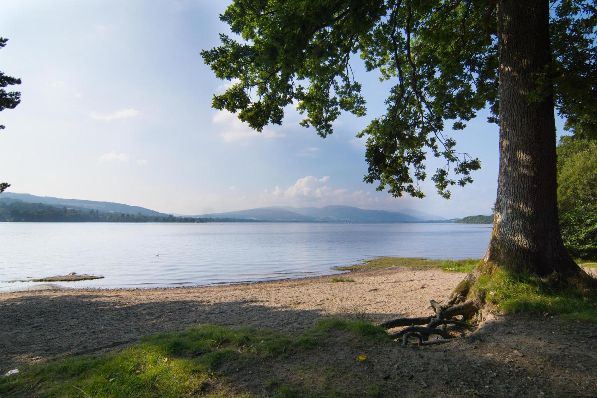 Norwood Guesthouse-Loch Lomond بالّوتْشْ الغرفة الصورة